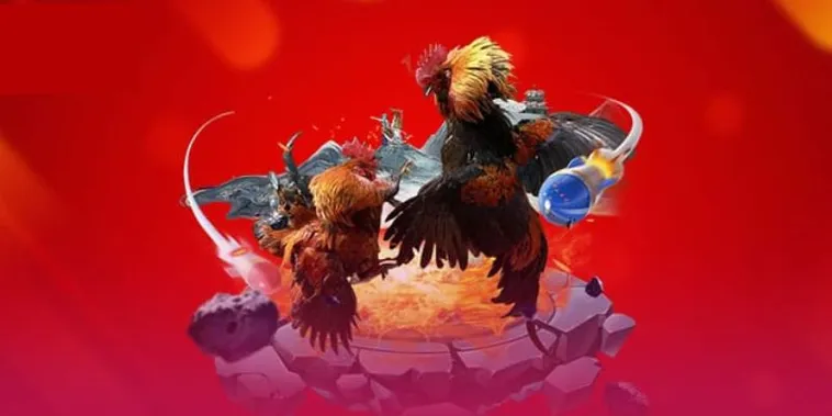 Tham Gia Đá Gà Z8Bet Đỉnh Cao Cược Ngay Hôm Nay