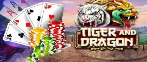 Trải Nghiệm Dragon Tiger Tại Z8Bet Cực Đã Với Tỷ Lệ Thưởng Cao