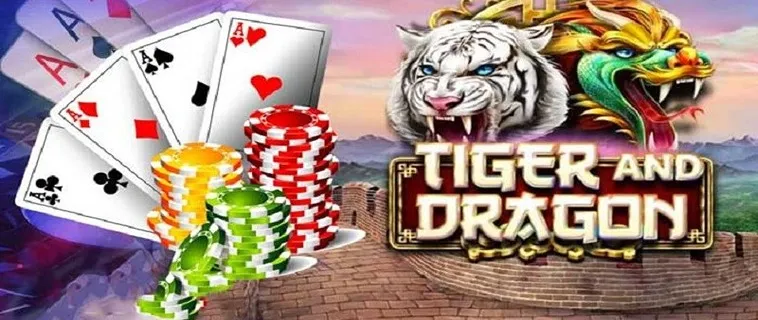 Trải Nghiệm Dragon Tiger Tại Z8Bet Cực Đã Với Tỷ Lệ Thưởng Cao
